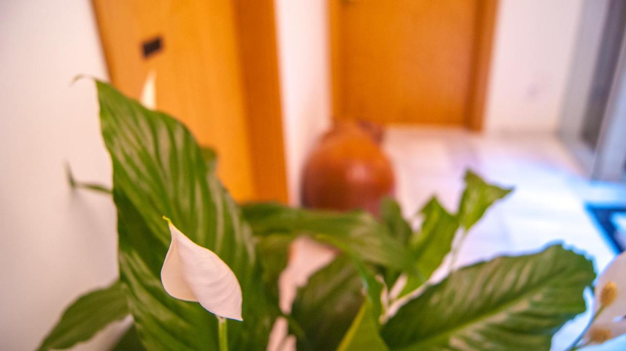Sweet Sevilla Suites Zewnętrze zdjęcie